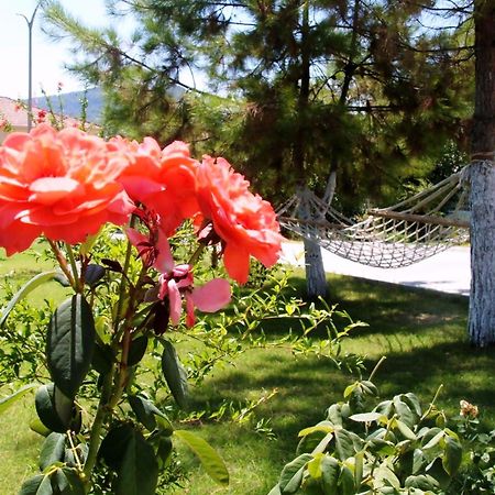 Gurkan Apart Hotel Dalyan Exteriör bild