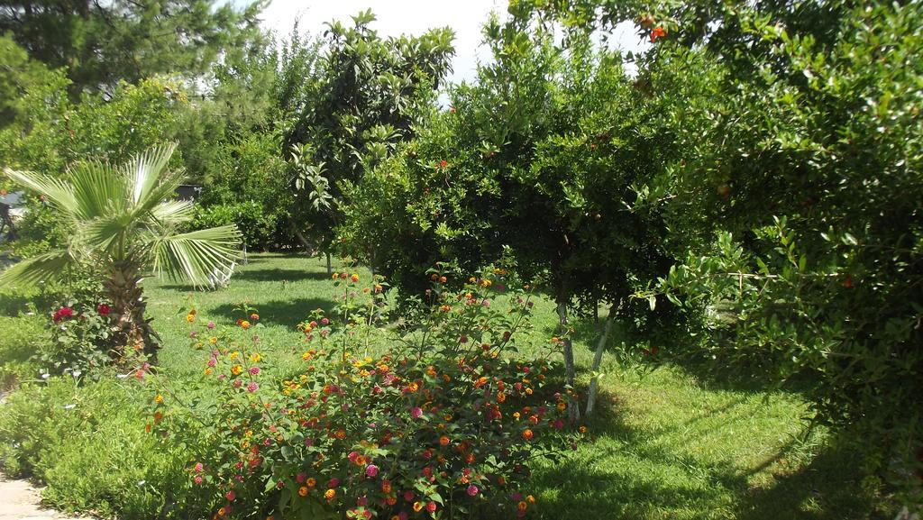Gurkan Apart Hotel Dalyan Exteriör bild