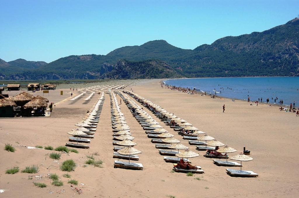 Gurkan Apart Hotel Dalyan Exteriör bild